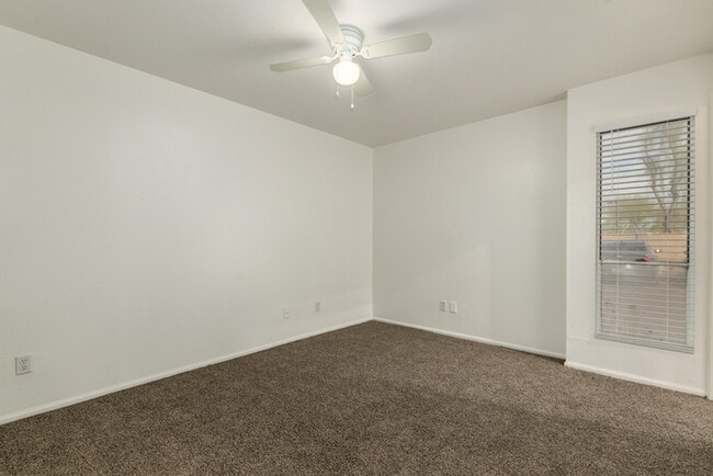 Building Photo - Stadio 3bedroom 2 bathroom