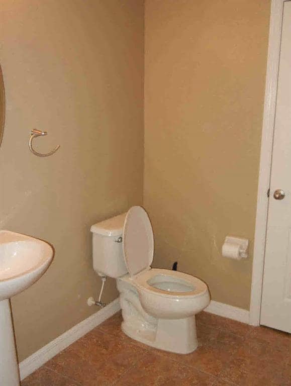 Building Photo - 1520 Scarlet Oak Loop