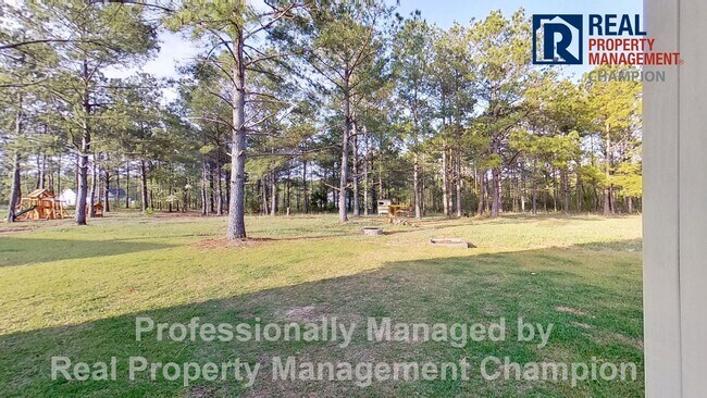 Building Photo - Beautiful Home in Hampstead on Spacious Lot