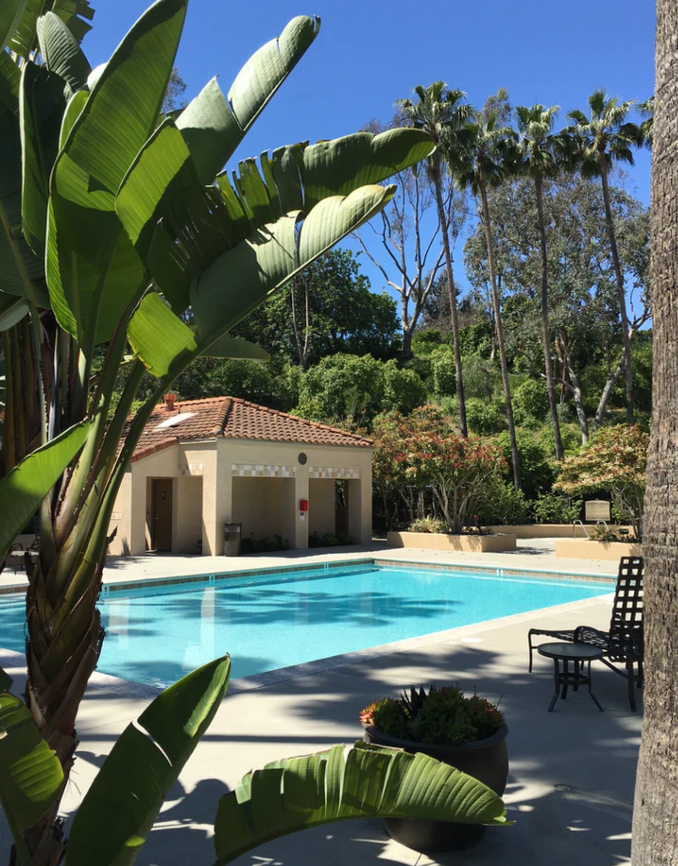 Resort style pool - 97 Corsica Dr