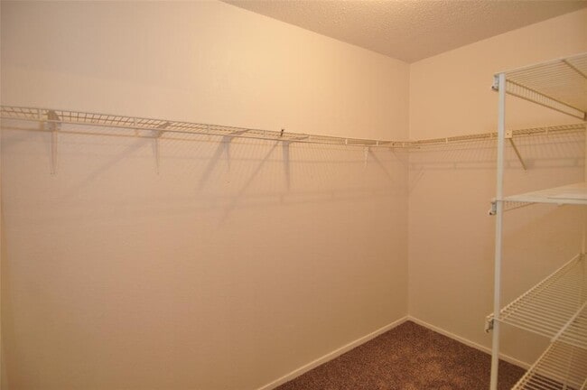 Building Photo - 10616 Mellow Meadow Dr