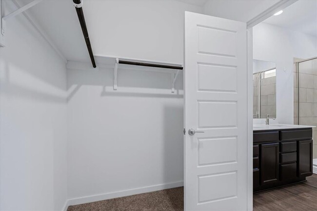 Building Photo - 3020 Louris Ln