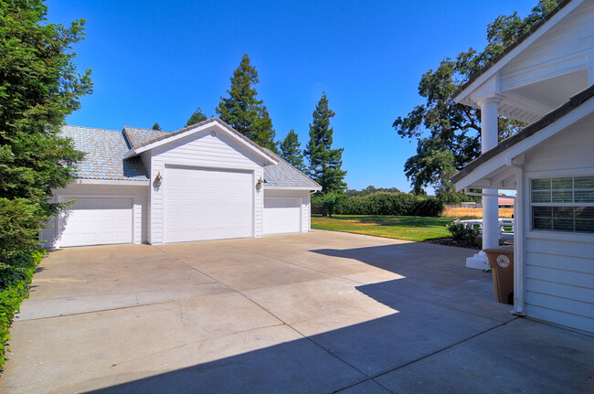 Building Photo - Majestic Country Getaway