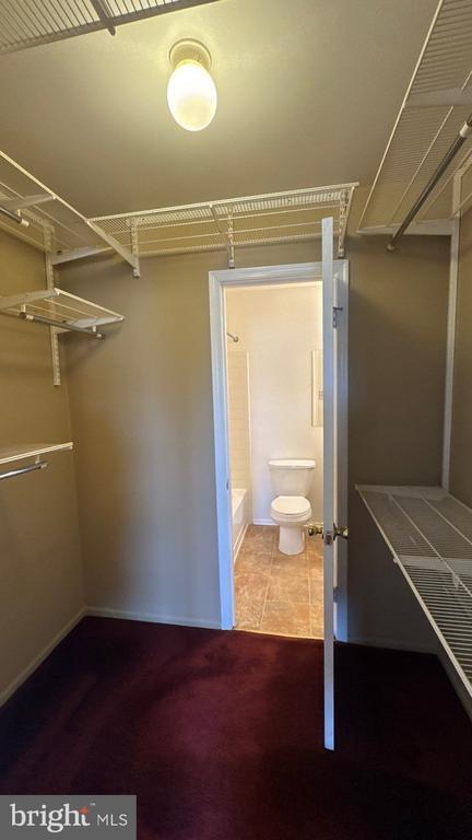 Building Photo - 6762 Ducketts Ln