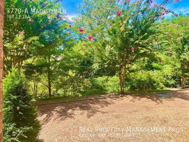 Building Photo - 3770-A Madison Ln-