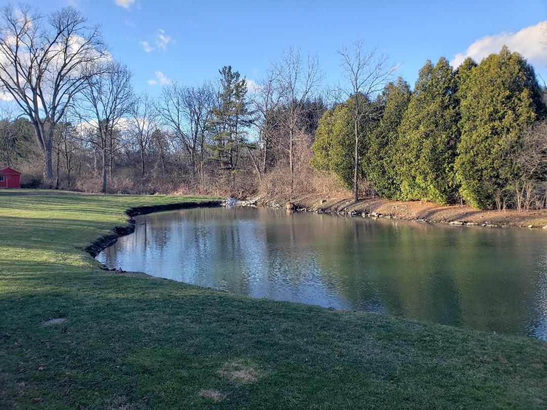 Pond in back yard - 305 Judd Rd
