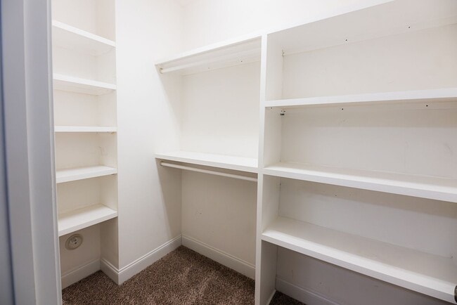 Building Photo - Stunning 5 Bedrooms, 4 Baths home in Summerfield with 2 car garage.