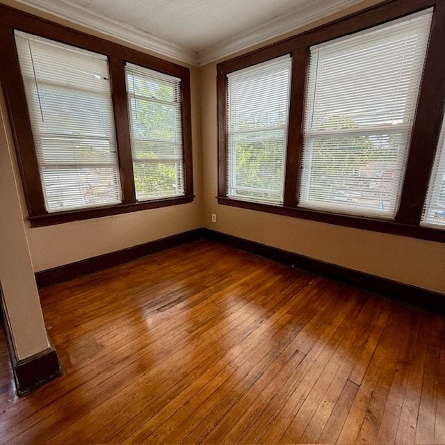 Building Photo - 48 Elmwood Ave
