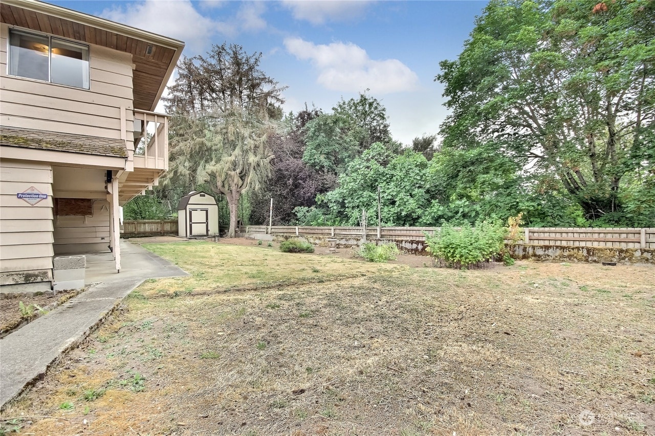 Backyard - 3527 Shattuck Ave S