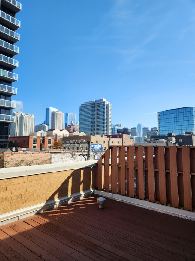 View from the private rooftop deck - 849 W Ohio St