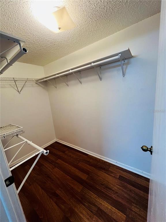 Building Photo - 428 Orangewood Dr