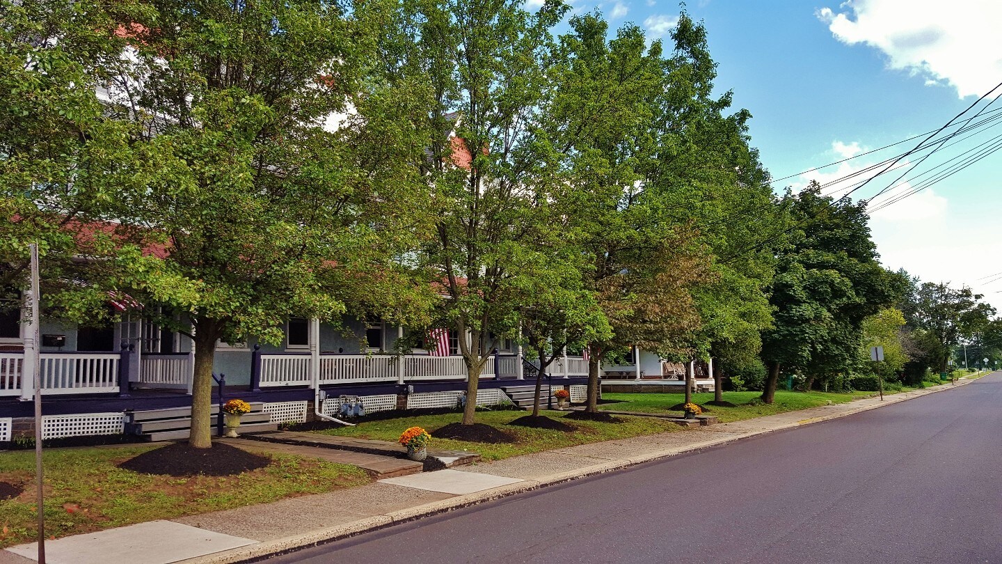 Quiet, leafy tree lined street - 35 Maple Ave