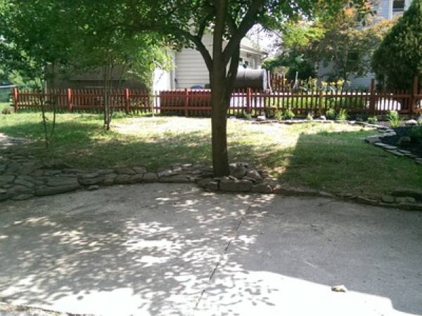 Rear Yard (tree now gone) - 615 Parkside Drive