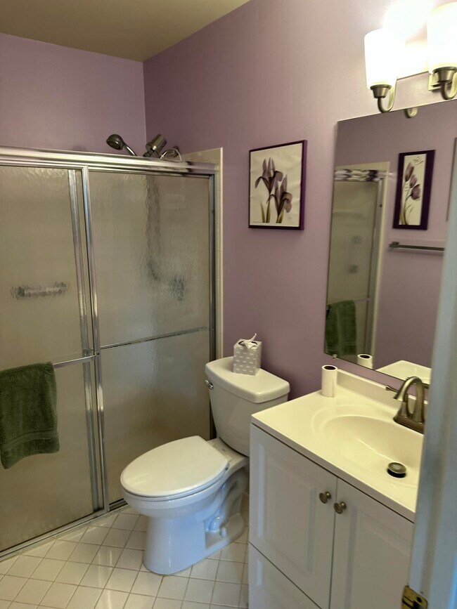 Building Photo - 3795 Silver Lace Ln