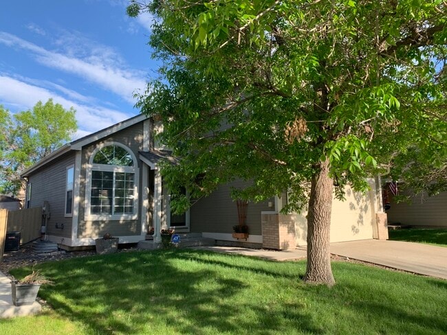 Primary Photo - 11346 Haswell Dr