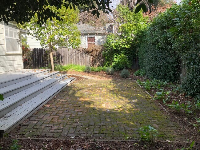 Back Yard - 820 Palo Alto Ave