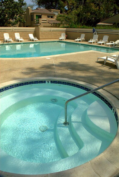 Pool and Spa - 7909 Caminito Dia