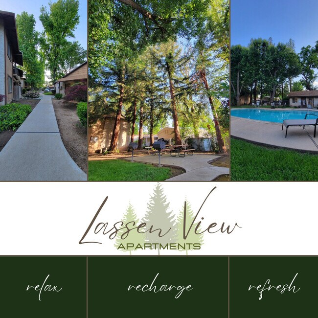 Lassen View Apartments 595 E Lassen Ave Chico CA 95973 Apartment Finder