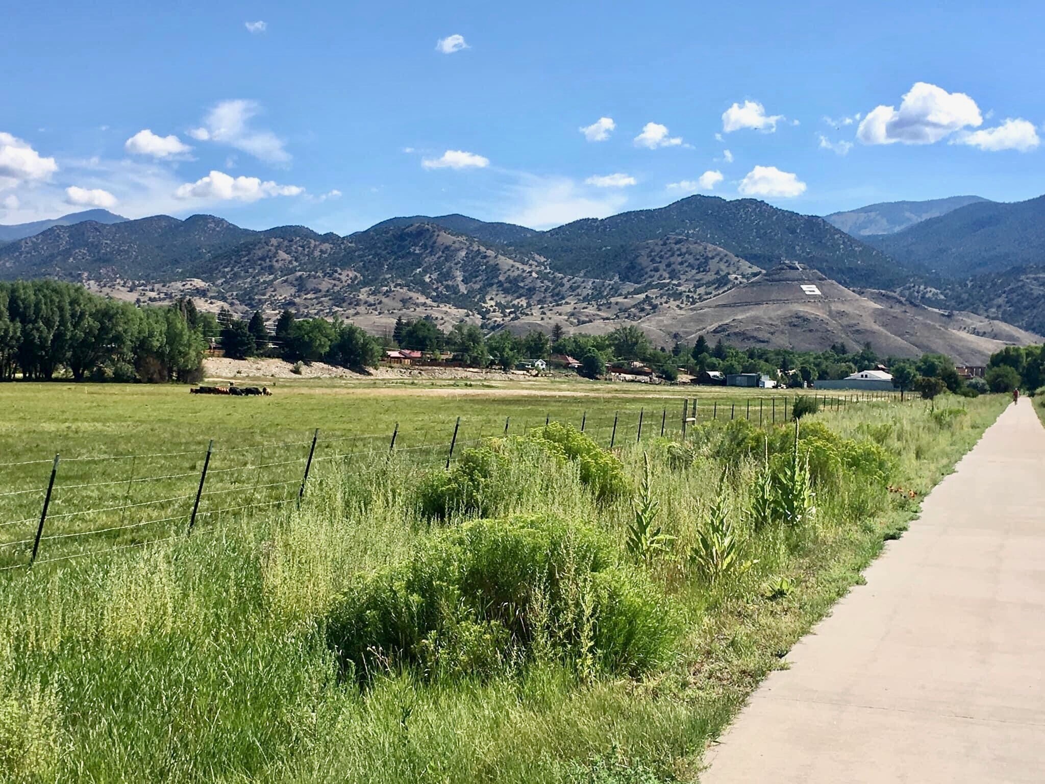 backyard view and bike trail - 151 Starbuck Cir