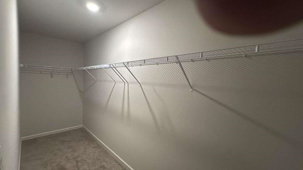 Building Photo - 2213 Blue Monarch Dr