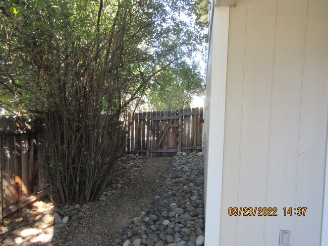 Building Photo - 1324 Scotch Pine Way