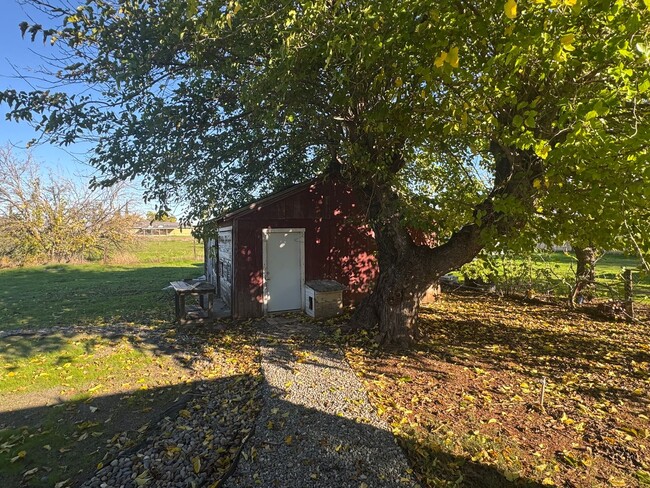 Building Photo - 3/2 Huge Yard and Garage