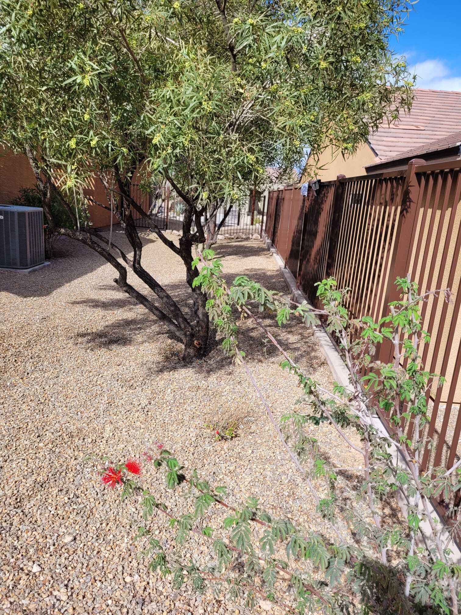 Building Photo - 1546 Campfire Ln