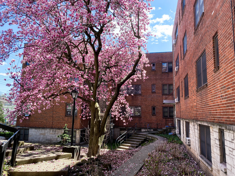 Property Courtyard - Lebanon Vue