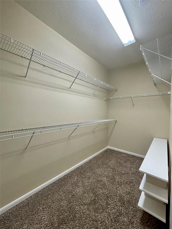 Building Photo - 12919 Mason Terrace Ln