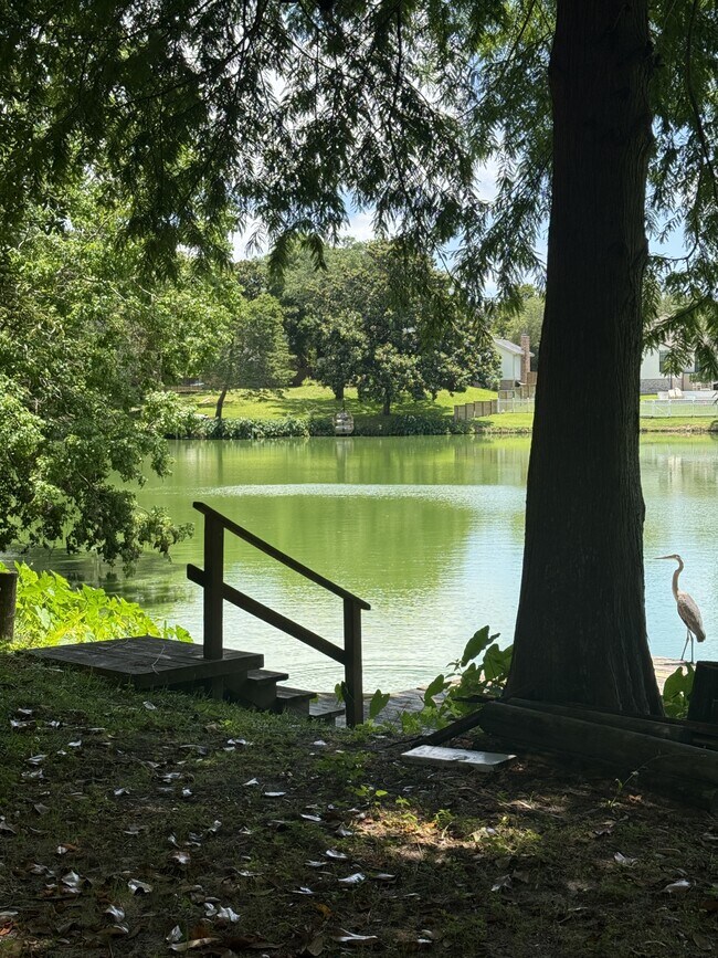 Building Photo - 504 Main St