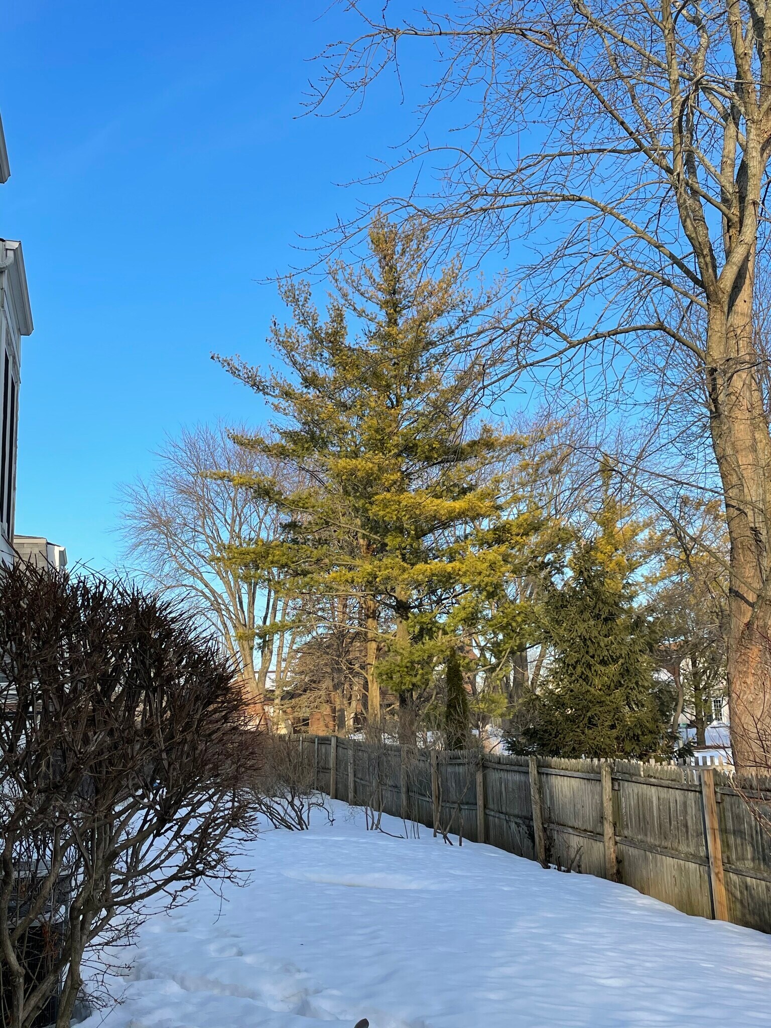 Building Photo - 837 Garfield Ave