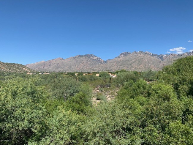 Building Photo - 5051 N Sabino Canyon Rd
