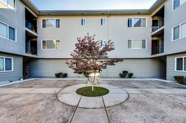 Building Photo - 1549 San Carlos Ave