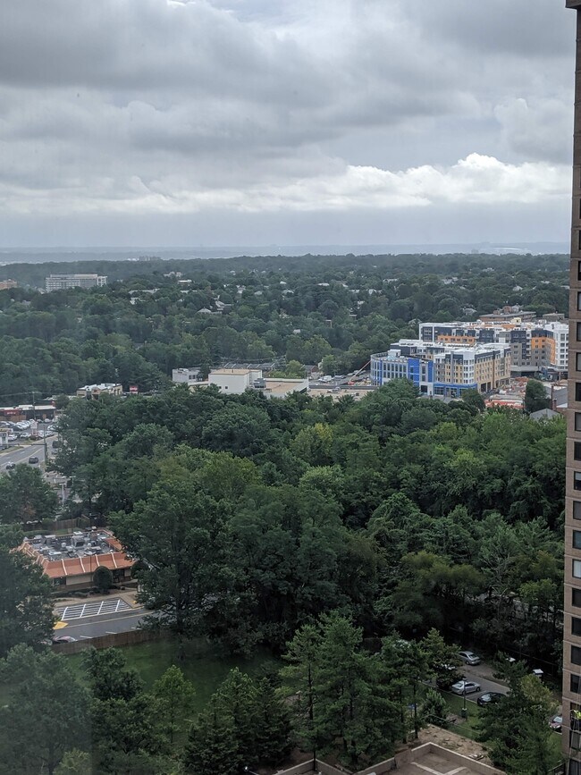 View - 3701 S George Mason Dr