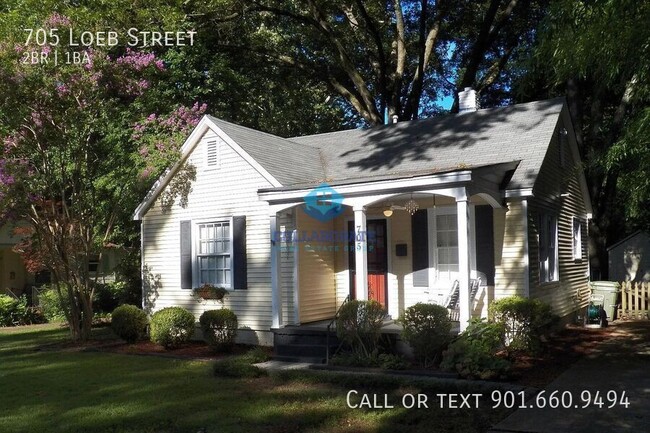 Primary Photo - 705 Loeb St