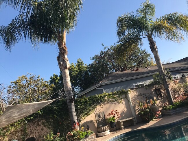 Surrounded by Palm Trees!! - 3822 Berryman Ave