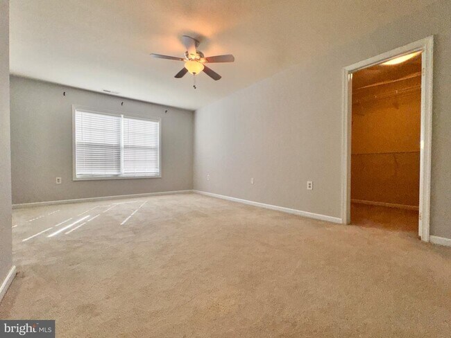 Building Photo - 42 Fuzzy Tail Dr