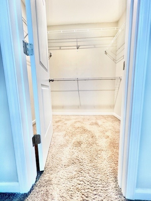 Building Photo - 3035 S Wild Turkey Dr