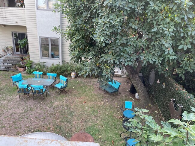 yard - 1443 10th St