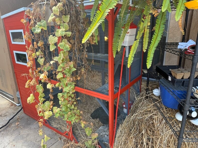 Building Photo - 19431 Rue de Valore Rue