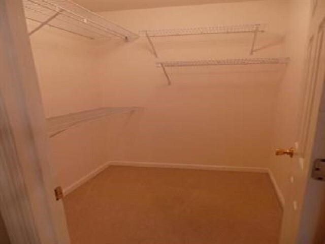 Building Photo - 2605 Cotuit Ln
