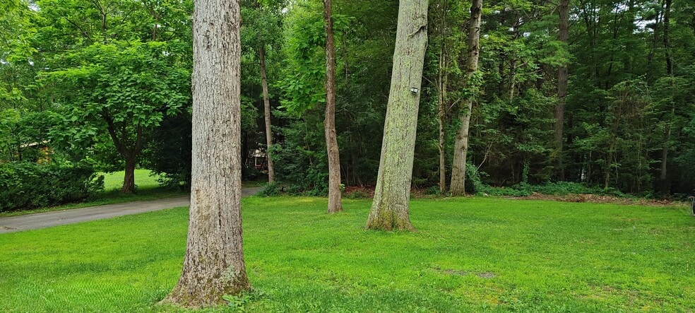 Backyard - 167 Arch Rd