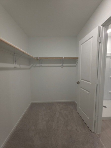 Building Photo - 26710 Sunrise Dr