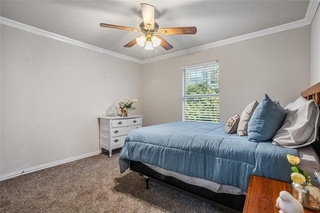 Building Photo - 3404 Belladonna Dr