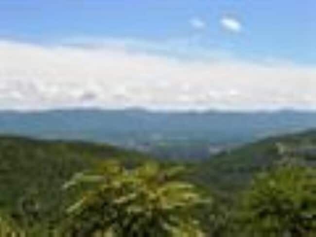 Building Photo - 223 Turkey Dr