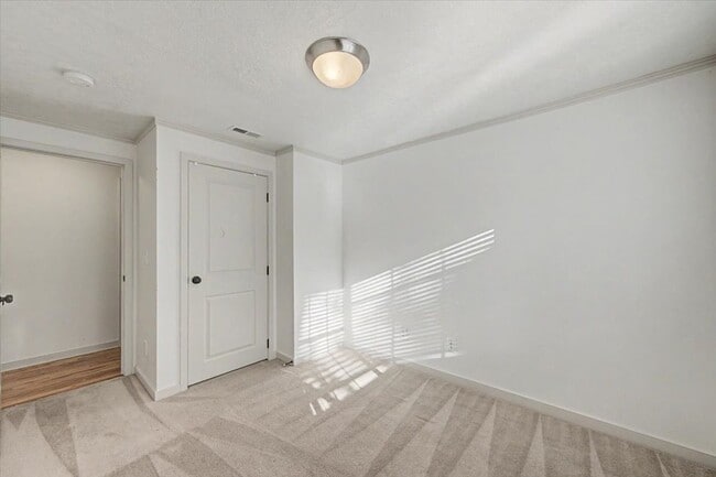Building Photo - 407 Village Ln