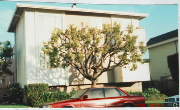 Building Photo - Parkview Apartments