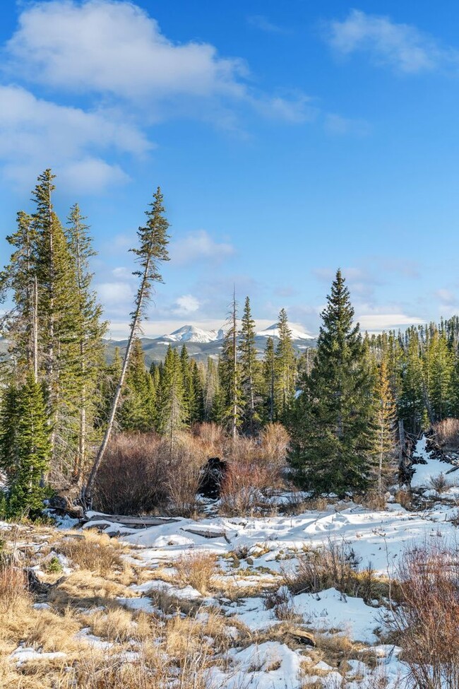 Building Photo - Beautiful Views in Silverthorne