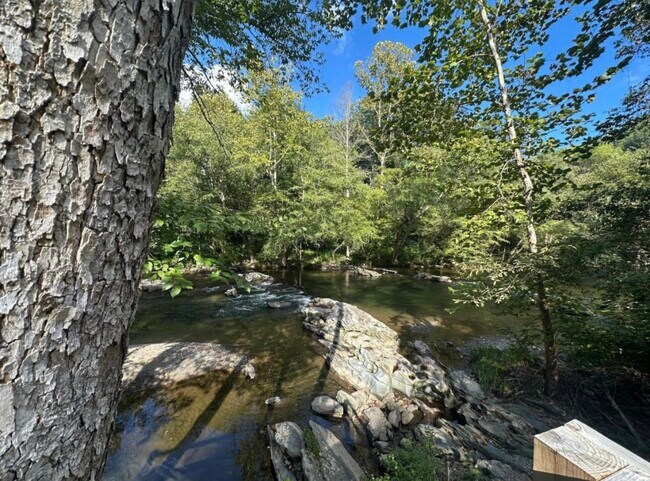 Building Photo - 3626 Pittman Center Rd