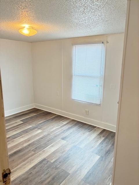 Building Photo - 2331 Wysteria Ln